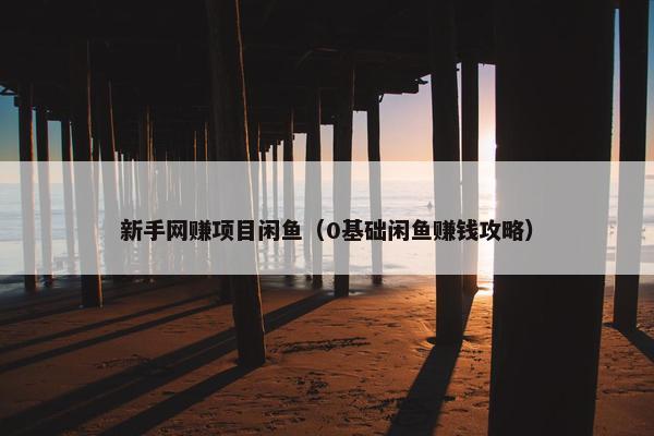 新手网赚项目闲鱼（0基础闲鱼赚钱攻略）