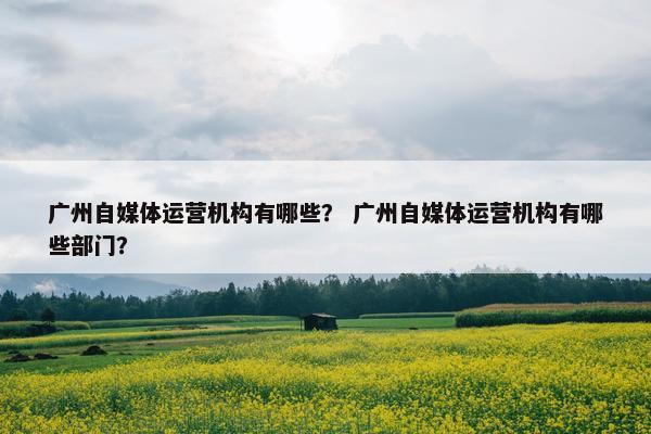 广州自媒体运营机构有哪些？ 广州自媒体运营机构有哪些部门？