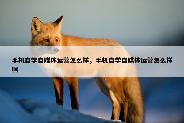 手机自学自媒体运营怎么样，手机自学自媒体运营怎么样啊