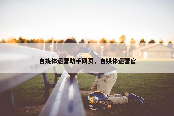 自媒体运营助手网页，自媒体运营官