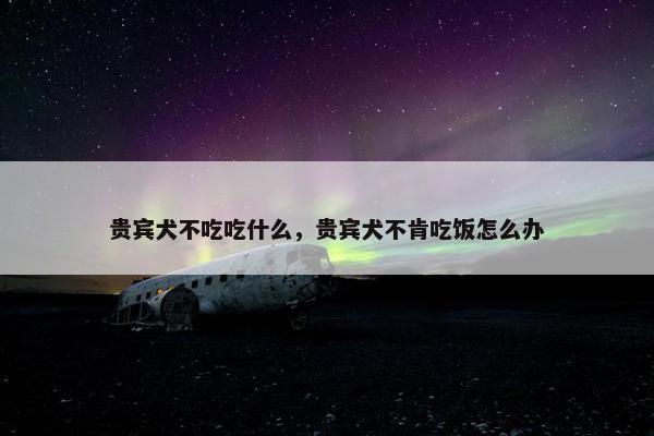 贵宾犬不吃吃什么，贵宾犬不肯吃饭怎么办