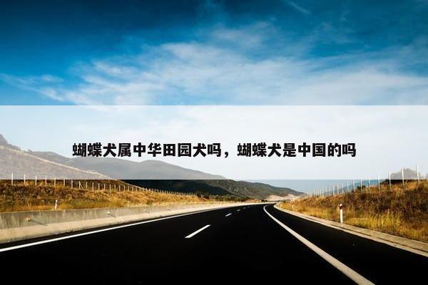 蝴蝶犬属中华田园犬吗，蝴蝶犬是中国的吗