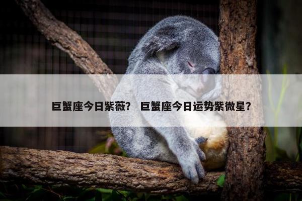 巨蟹座今日紫薇？ 巨蟹座今日运势紫微星？