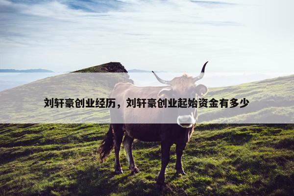 刘轩豪创业经历，刘轩豪创业起始资金有多少