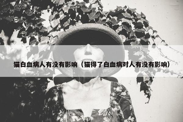 猫白血病人有没有影响（猫得了白血病对人有没有影响）