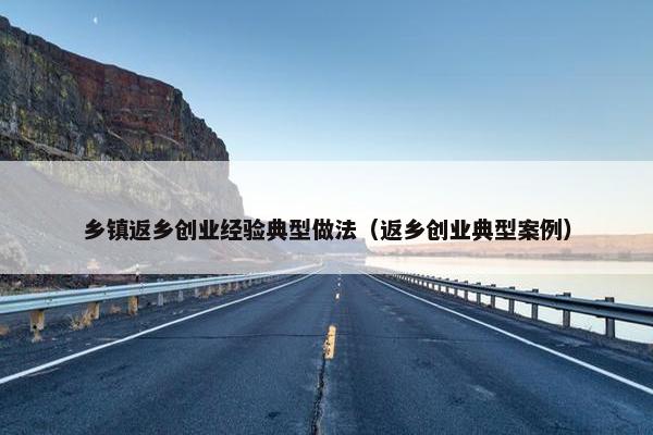 乡镇返乡创业经验典型做法（返乡创业典型案例）