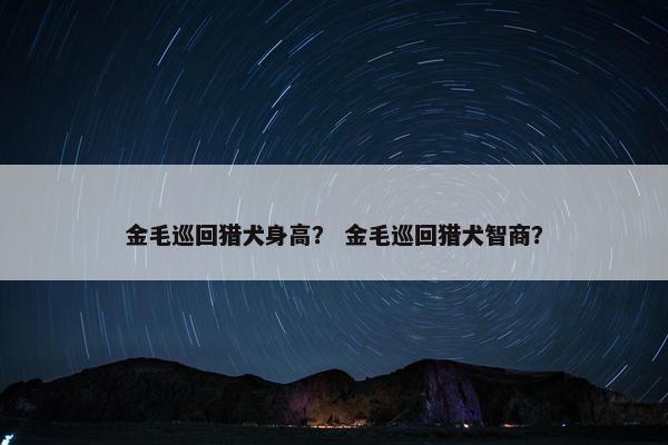 金毛巡回猎犬身高？ 金毛巡回猎犬智商？