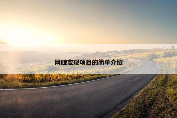 网赚变现项目的简单介绍