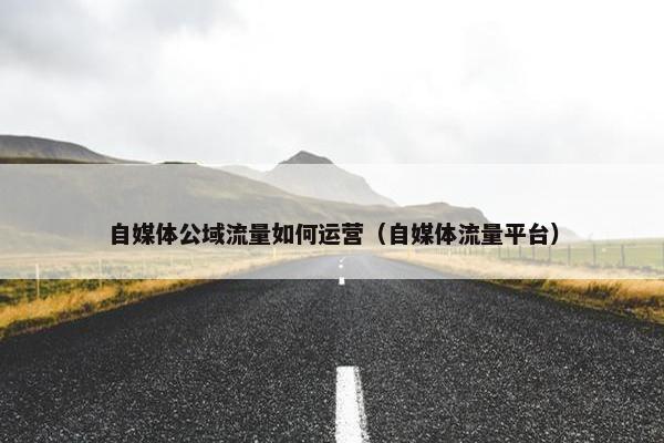 自媒体公域流量如何运营（自媒体流量平台）