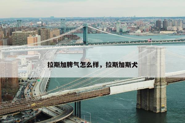 拉斯加脾气怎么样，拉斯加斯犬