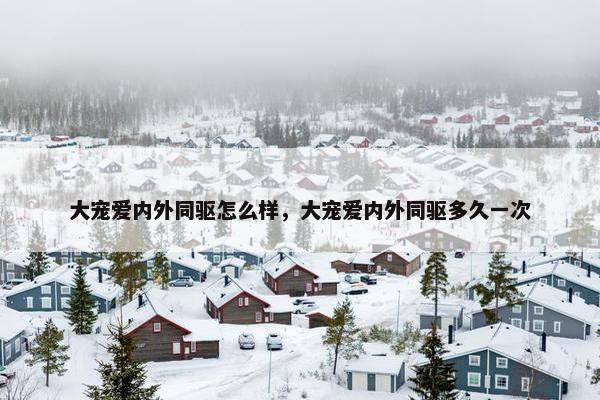 大宠爱内外同驱怎么样，大宠爱内外同驱多久一次