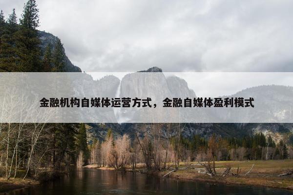 金融机构自媒体运营方式，金融自媒体盈利模式