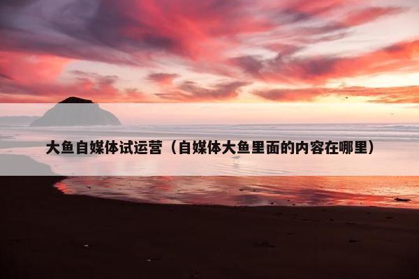 大鱼自媒体试运营（自媒体大鱼里面的内容在哪里）
