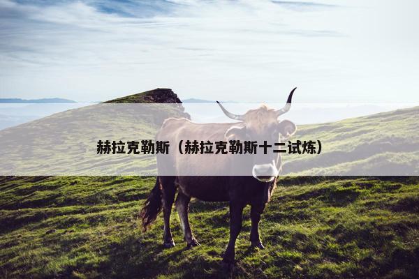 赫拉克勒斯（赫拉克勒斯十二试炼）