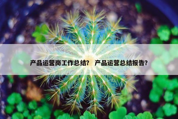 产品运营岗工作总结？ 产品运营总结报告？