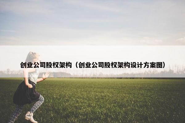 创业公司股权架构（创业公司股权架构设计方案图）