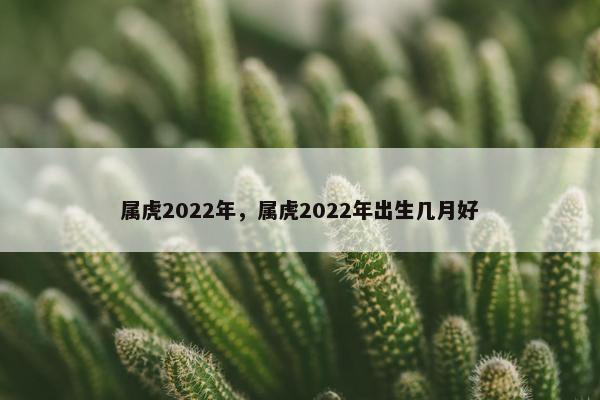 属虎2022年，属虎2022年出生几月好