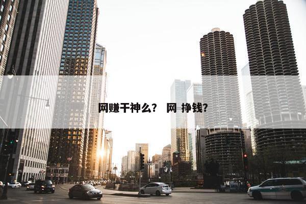 网赚干神么？ 网 挣钱？