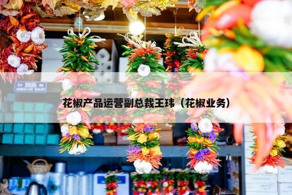 花椒产品运营副总裁王玮（花椒业务）