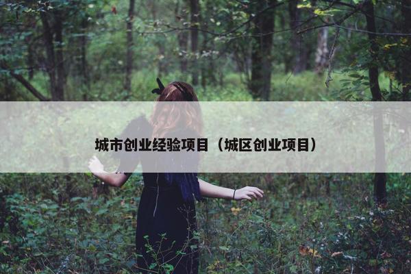 城市创业经验项目（城区创业项目）