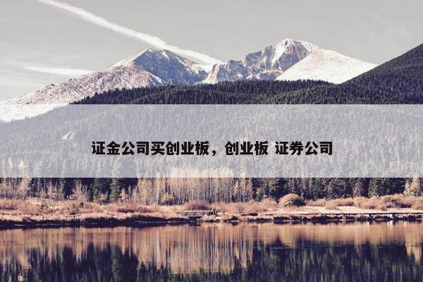 证金公司买创业板，创业板 证券公司