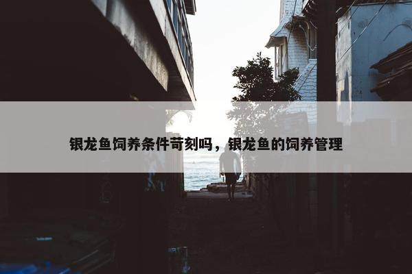 银龙鱼饲养条件苛刻吗，银龙鱼的饲养管理