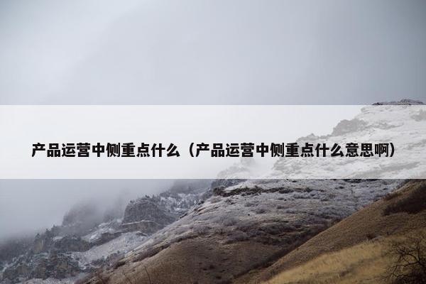 产品运营中侧重点什么（产品运营中侧重点什么意思啊）