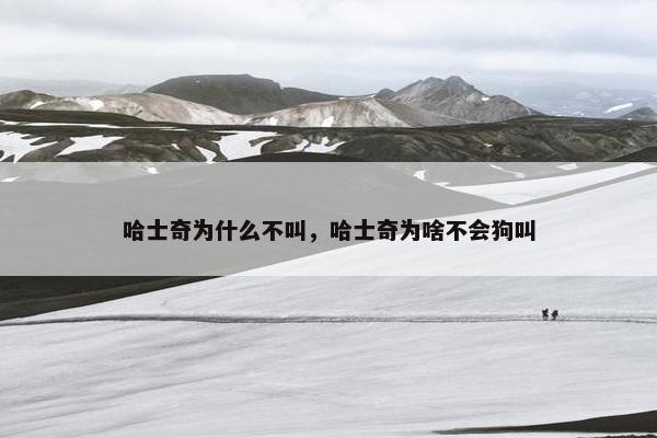 哈士奇为什么不叫，哈士奇为啥不会狗叫
