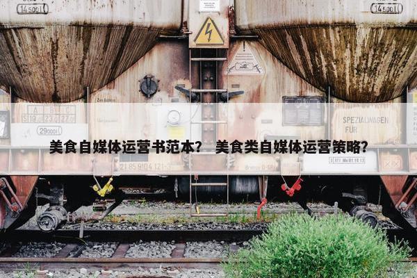 美食自媒体运营书范本？ 美食类自媒体运营策略？