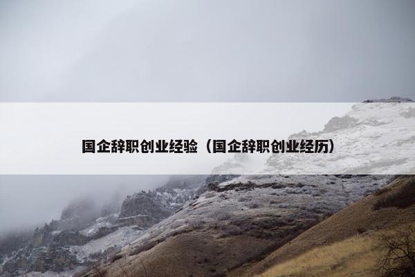 国企辞职创业经验（国企辞职创业经历）