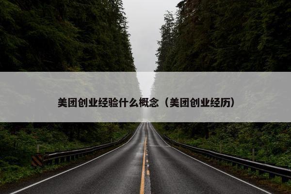 美团创业经验什么概念（美团创业经历）