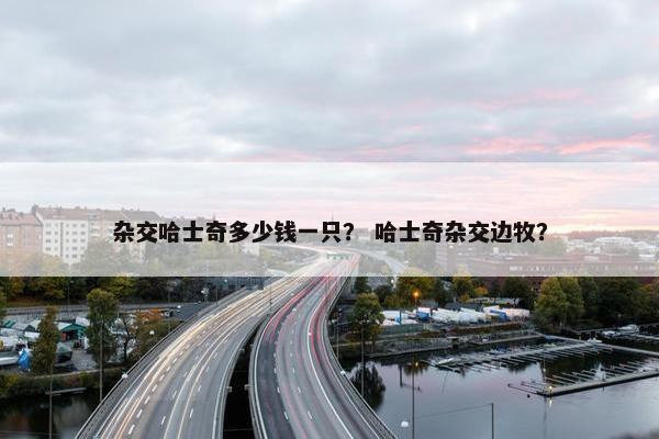 杂交哈士奇多少钱一只？ 哈士奇杂交边牧？