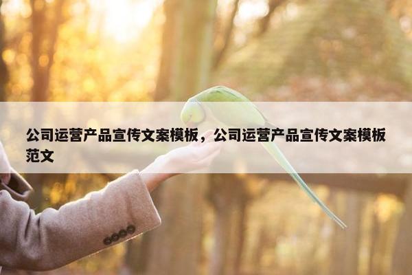 公司运营产品宣传文案模板，公司运营产品宣传文案模板范文