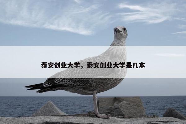 泰安创业大学，泰安创业大学是几本