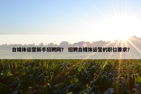自媒体运营新手招聘网？ 招聘自媒体运营的职位要求？
