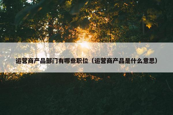 运营商产品部门有哪些职位（运营商产品是什么意思）