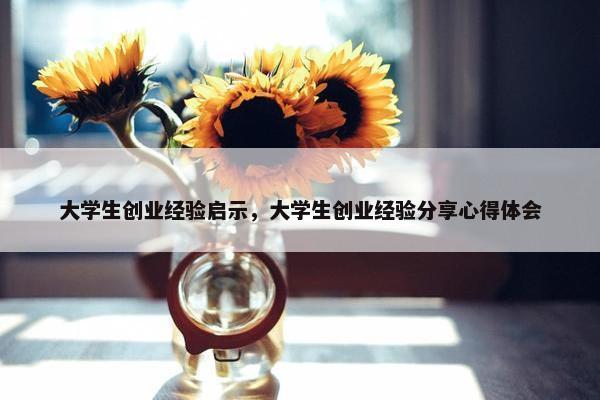 大学生创业经验启示，大学生创业经验分享心得体会