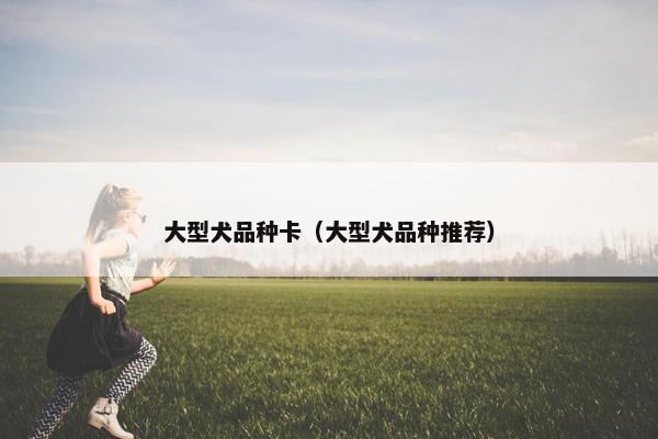 大型犬品种卡（大型犬品种推荐）