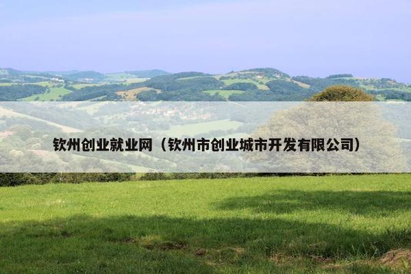 钦州创业就业网（钦州市创业城市开发有限公司）