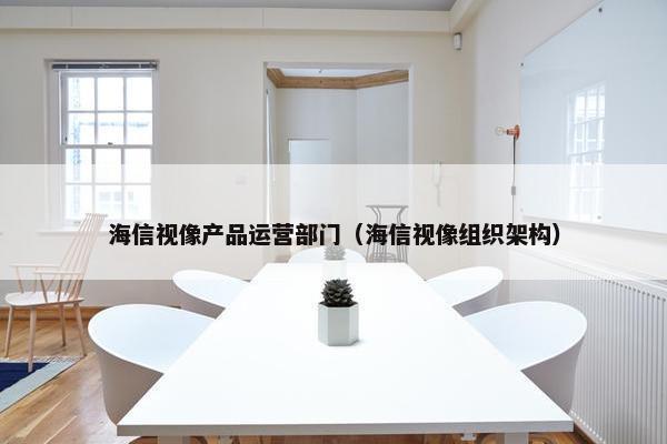 海信视像产品运营部门（海信视像组织架构）
