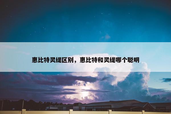 惠比特灵缇区别，惠比特和灵缇哪个聪明