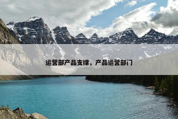 运营部产品支撑，产品运营部门