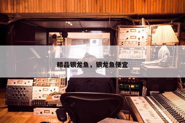 精品银龙鱼，银龙鱼便宜