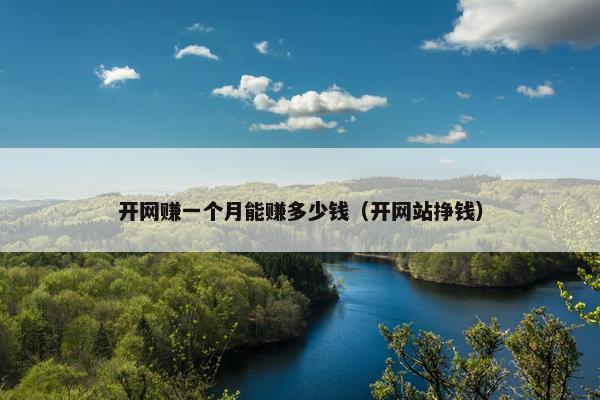 开网赚一个月能赚多少钱（开网站挣钱）