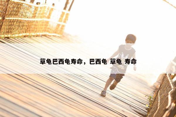 草龟巴西龟寿命，巴西龟 草龟 寿命