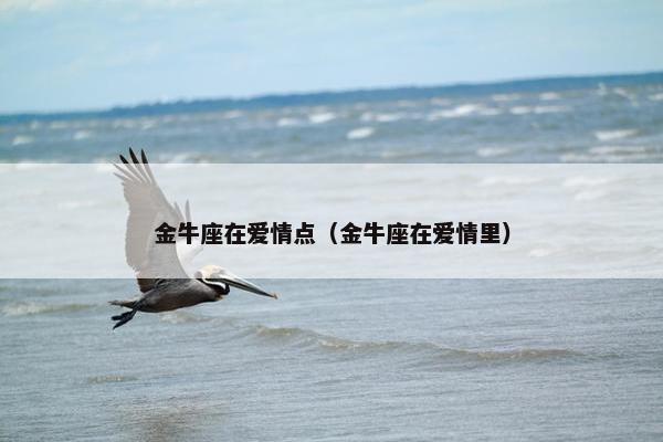 金牛座在爱情点（金牛座在爱情里）