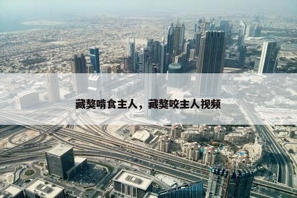 藏獒啃食主人，藏獒咬主人视频