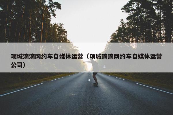 项城滴滴网约车自媒体运营（项城滴滴网约车自媒体运营公司）