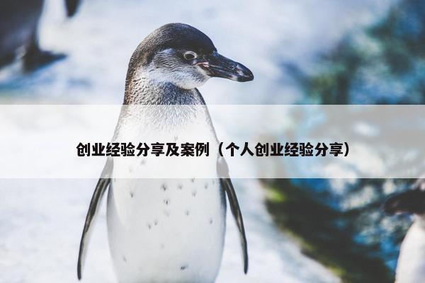 创业经验分享及案例（个人创业经验分享）