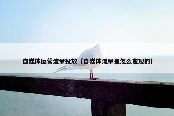 自媒体运营流量投放（自媒体流量是怎么变现的）